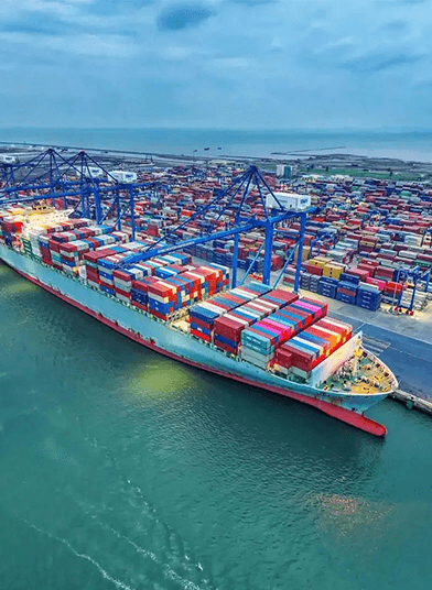 Global Supply Network