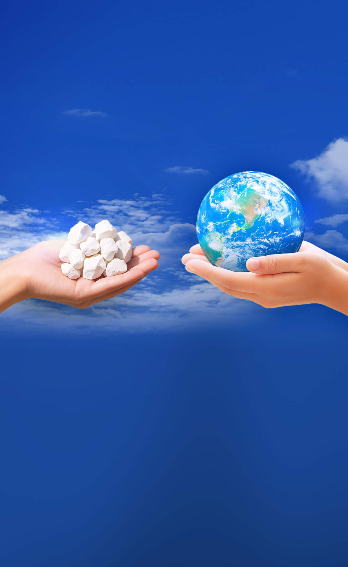 LOCAL NATURE, GLOBAL VALUE